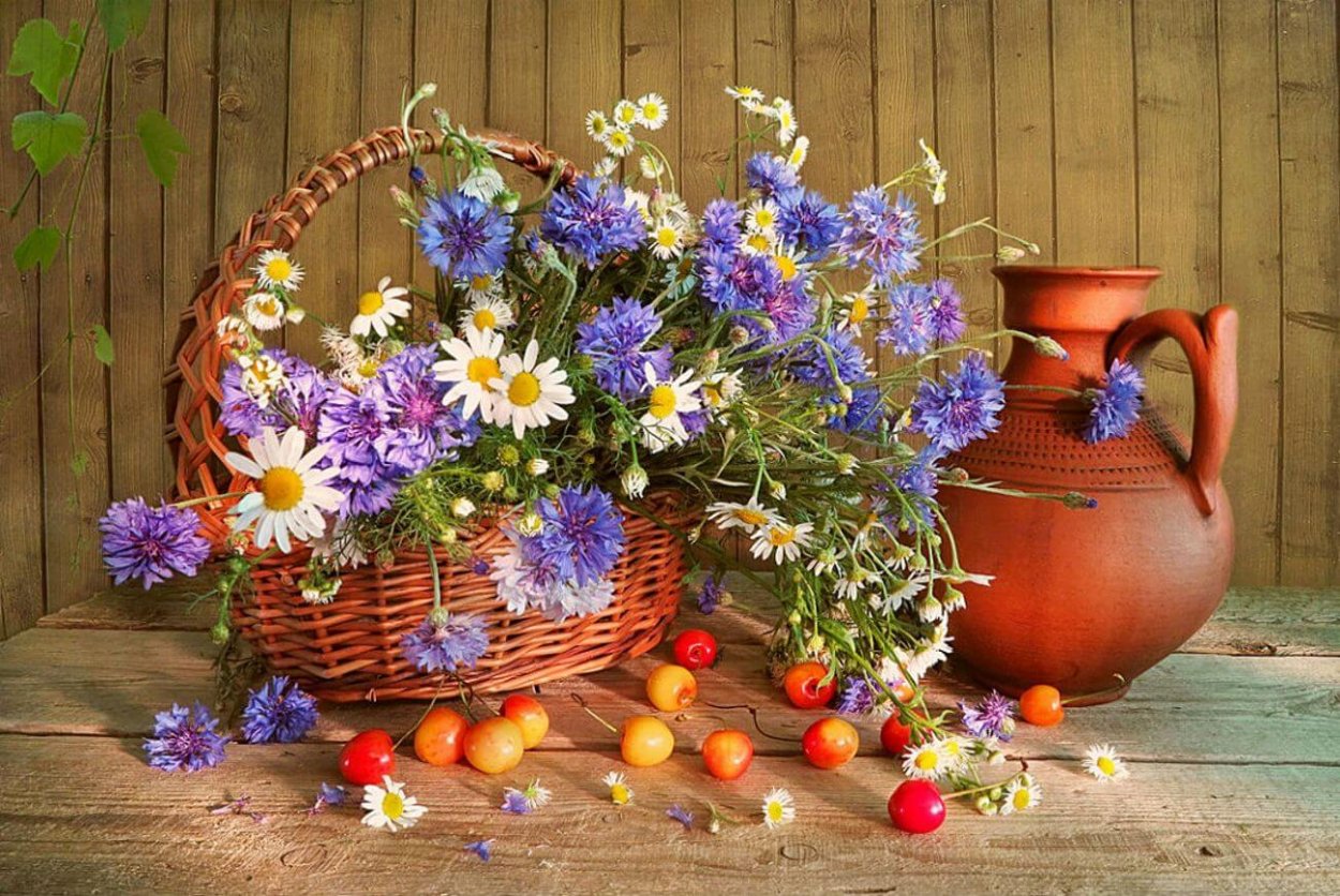 Красивые летние натюрморты