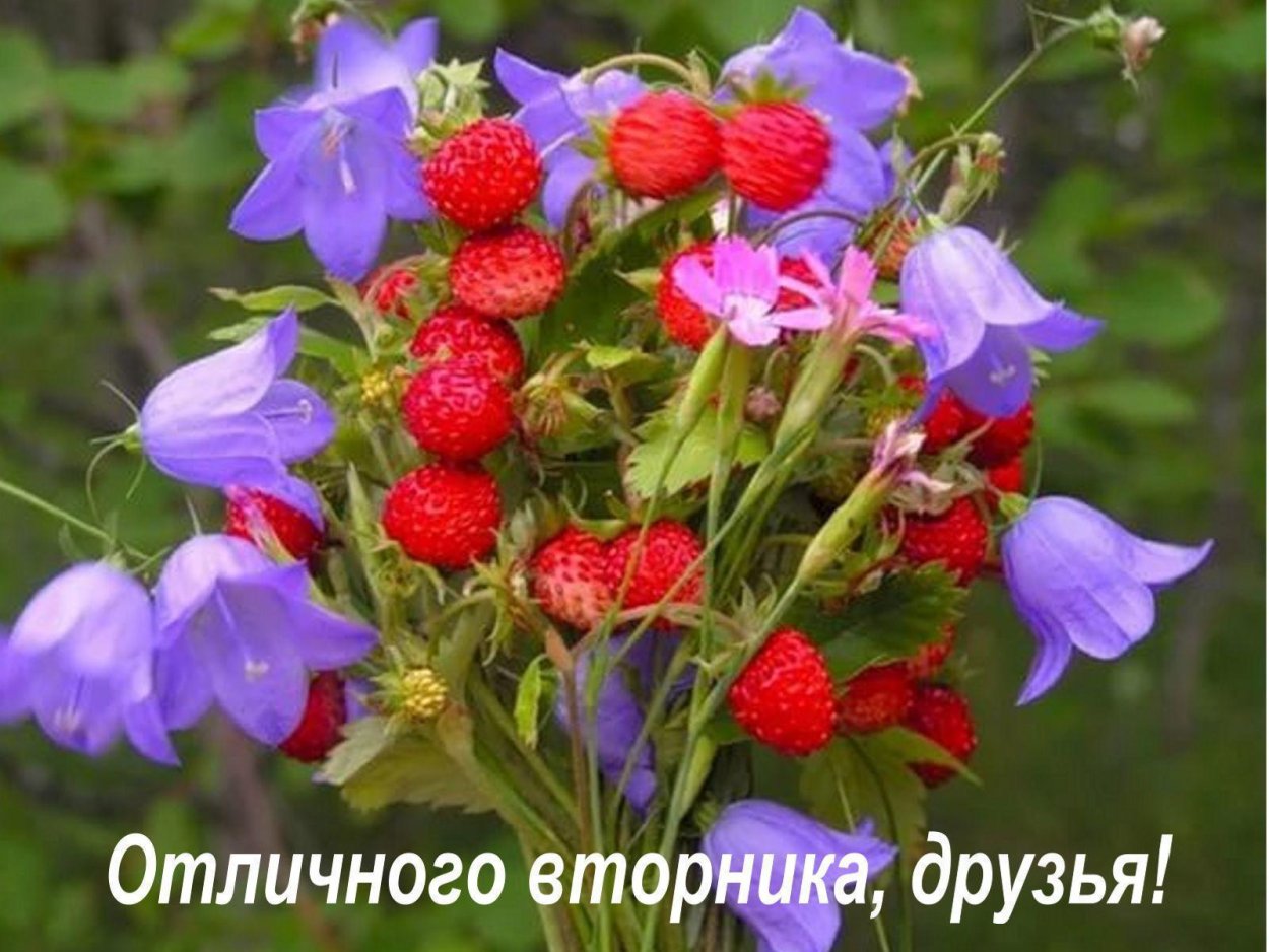 Букет лесных колокольчиков