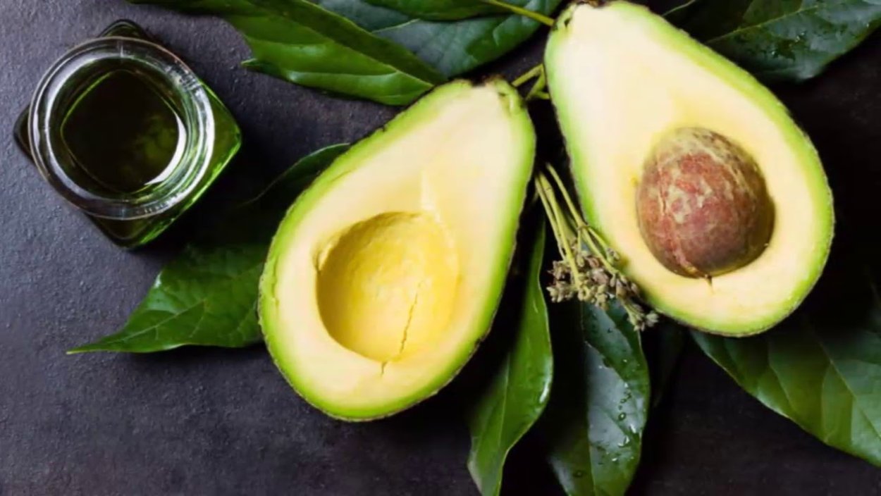 Прорастание косточки авокадо