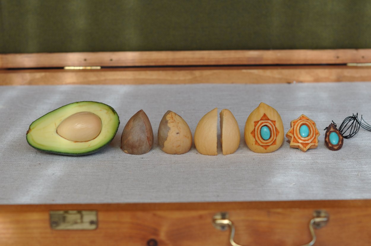 Схема выращивания авокадо