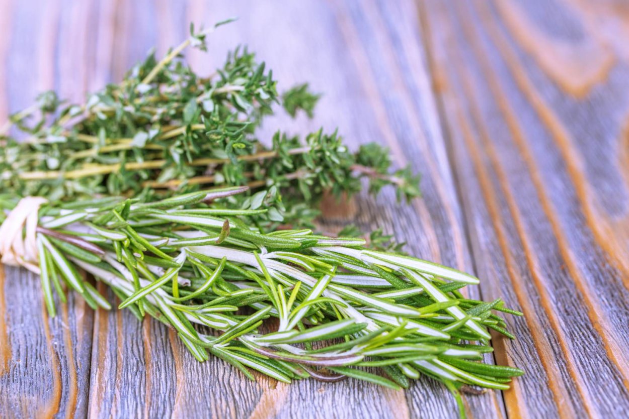 Розмарин и тимьян