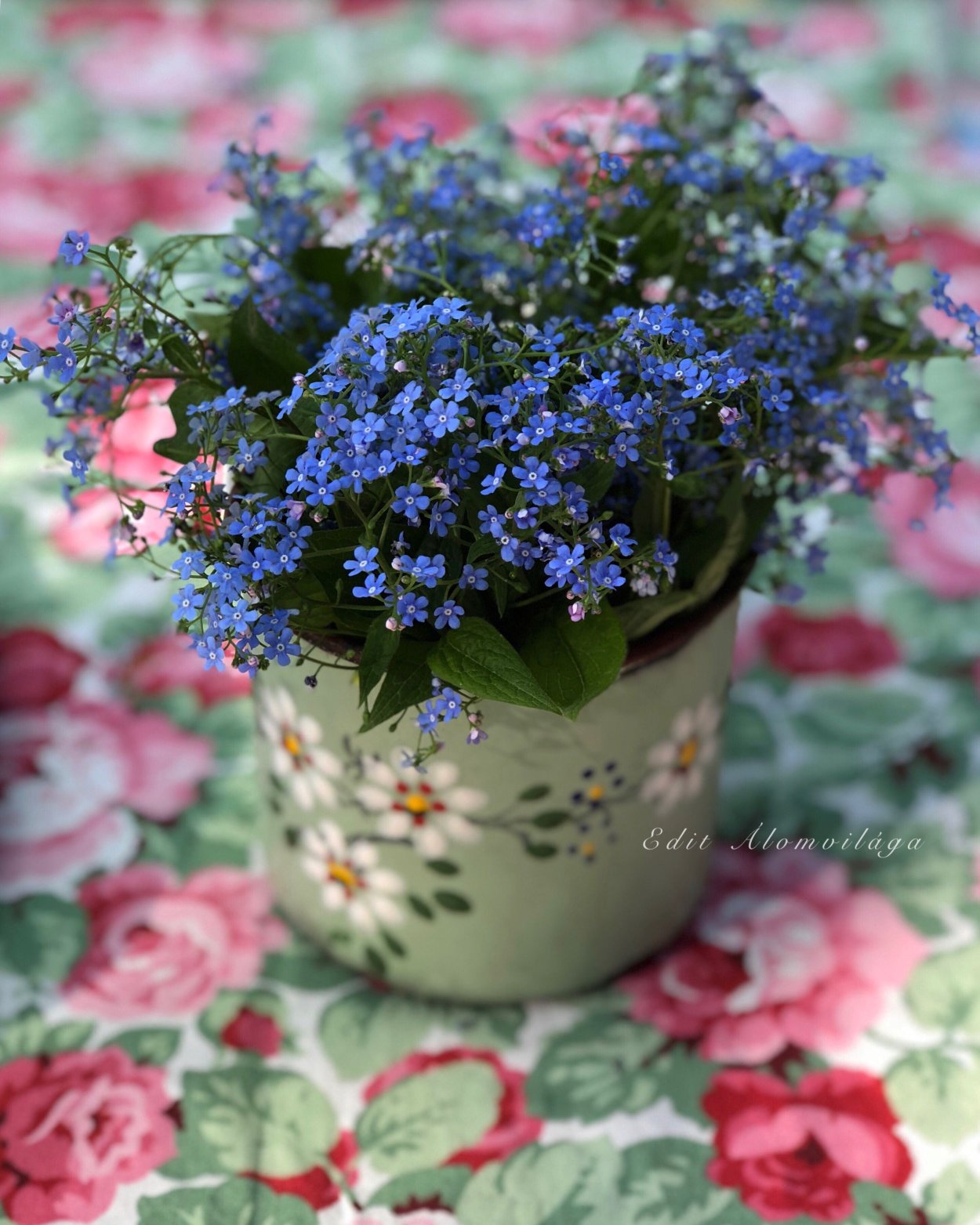 Мелкие цветы в горшке