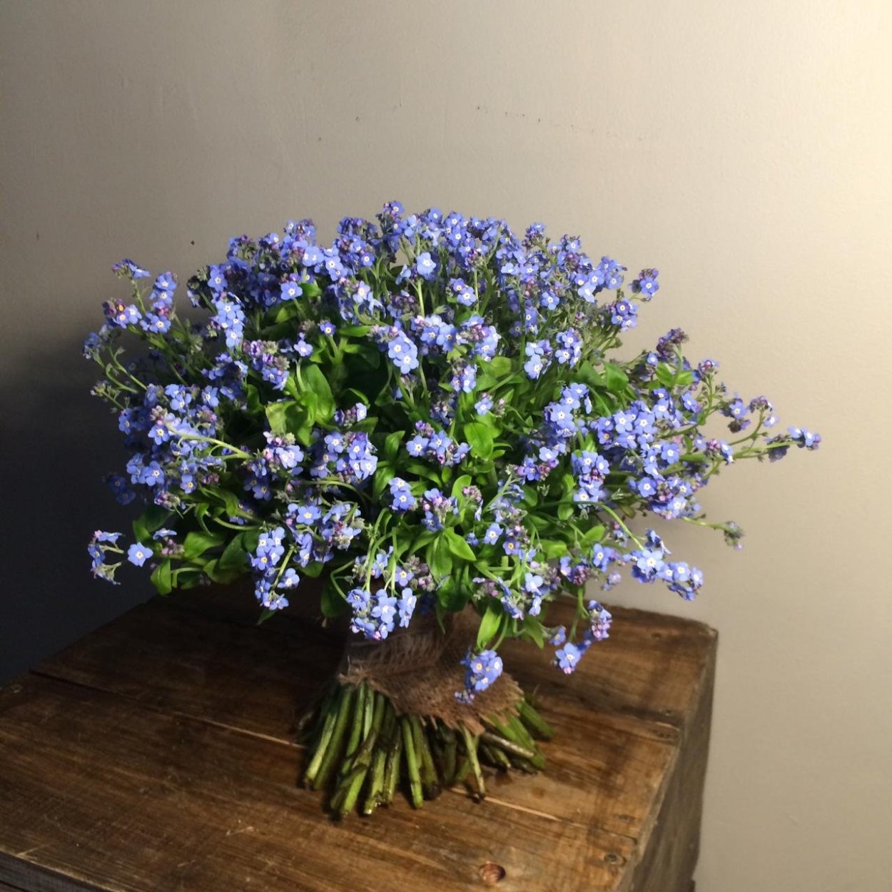 Букет незабудок