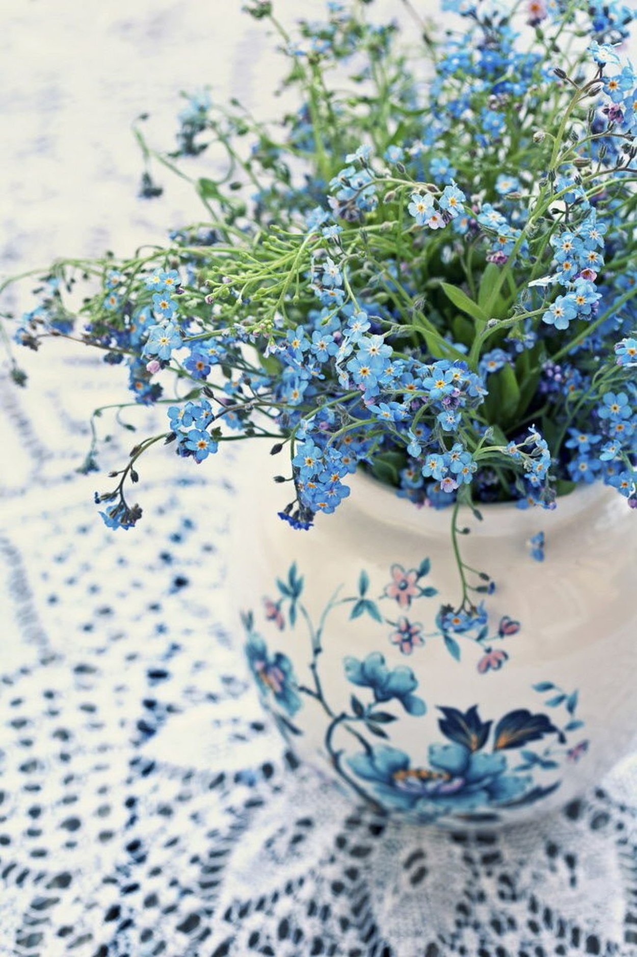 Цветок в горшочке Незабудка