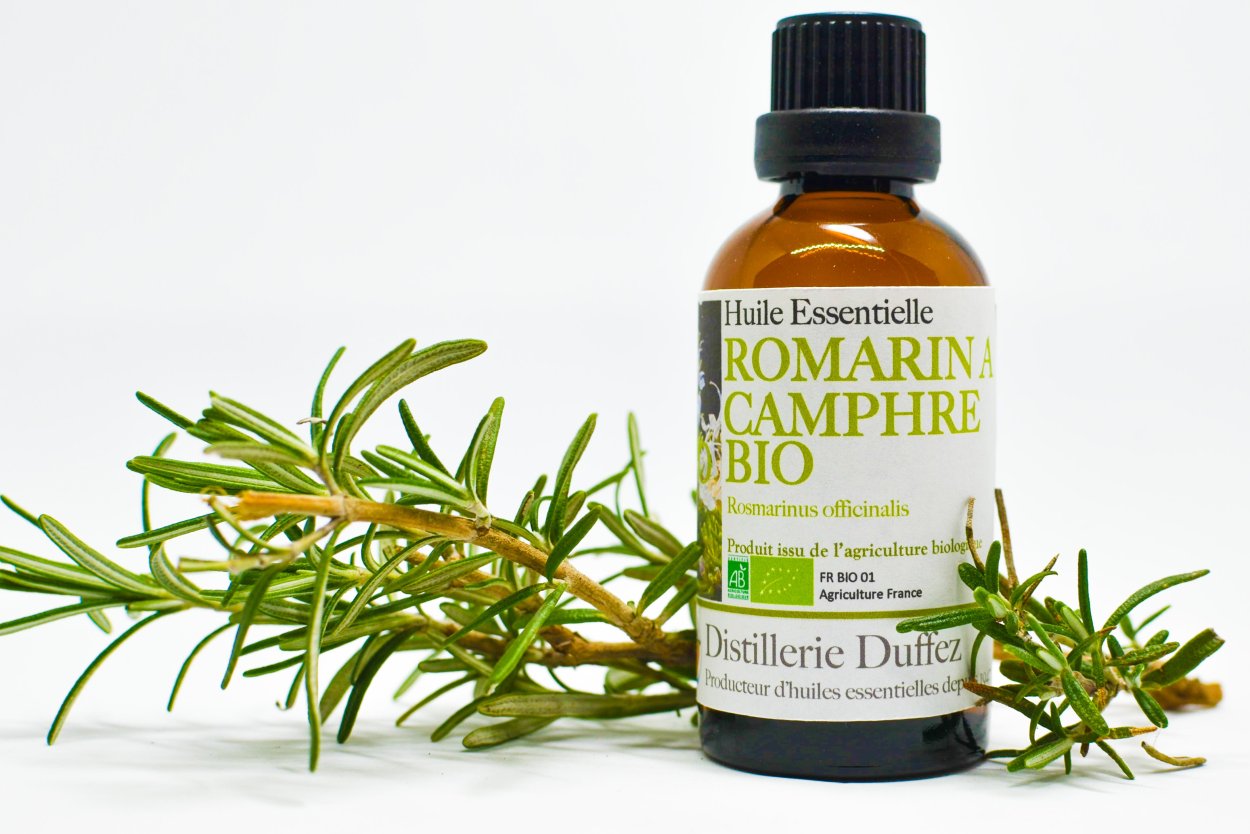 Розмарин приправа