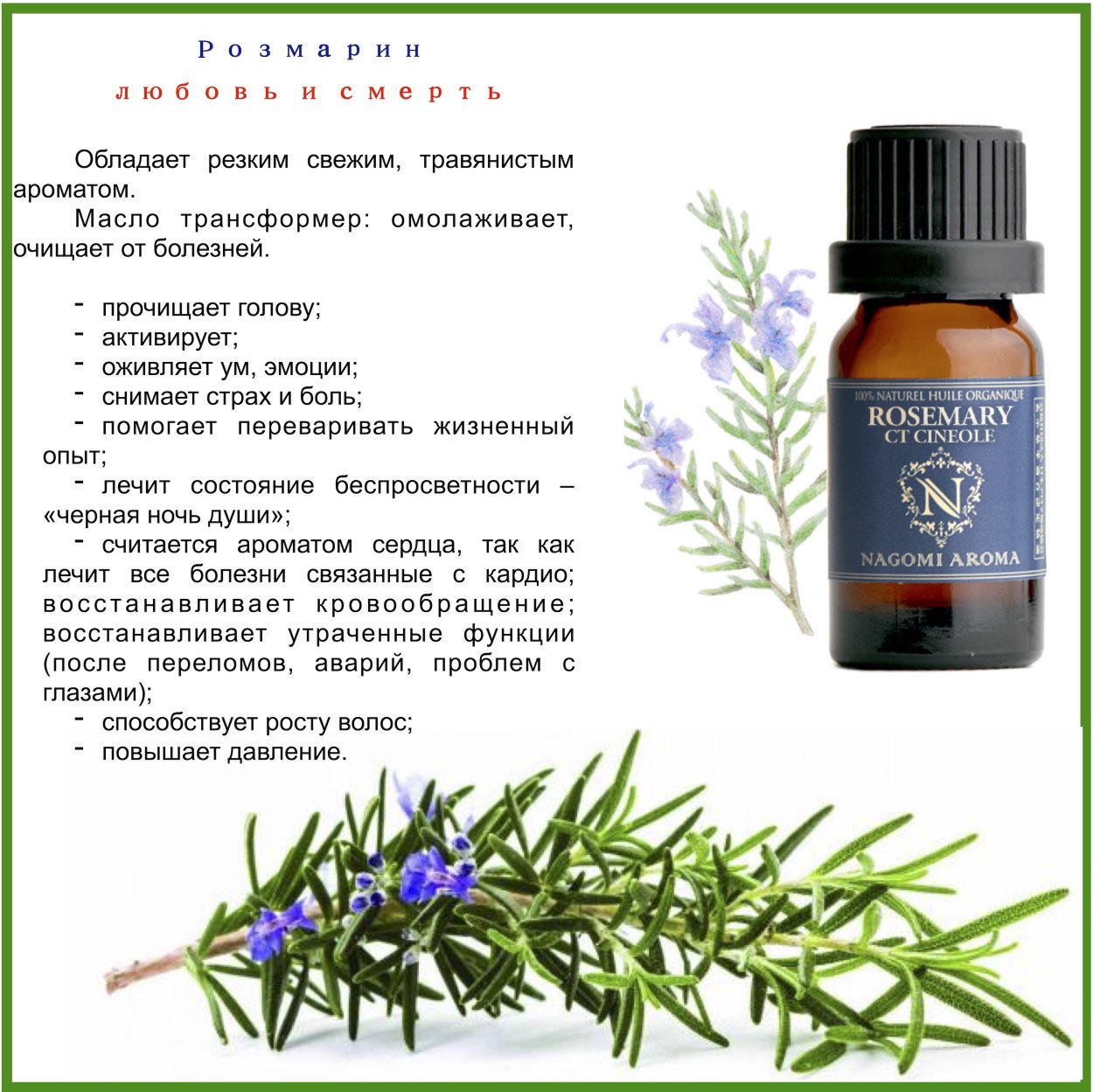 Розмарин слоган