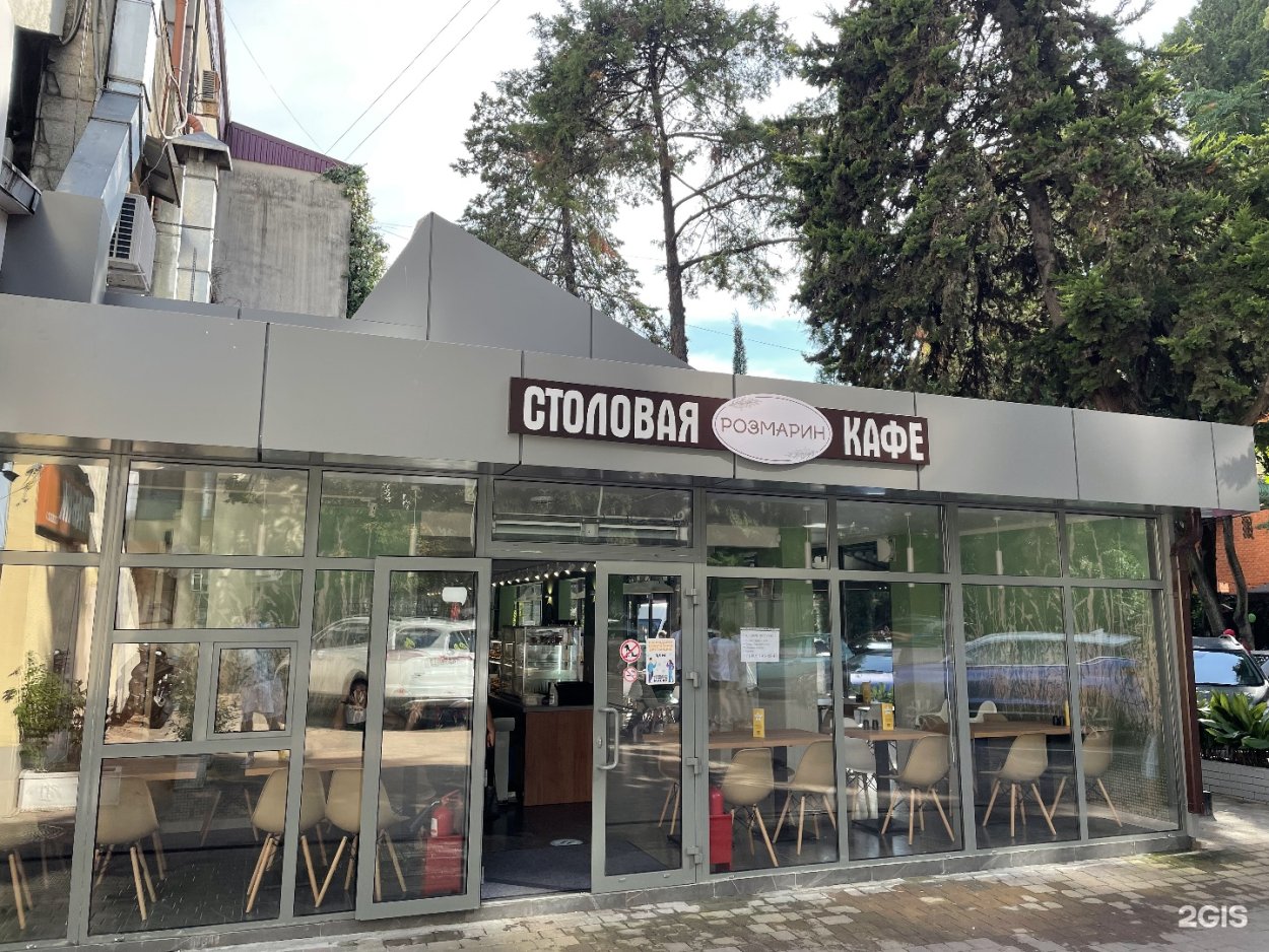 Пряная трава розмарин