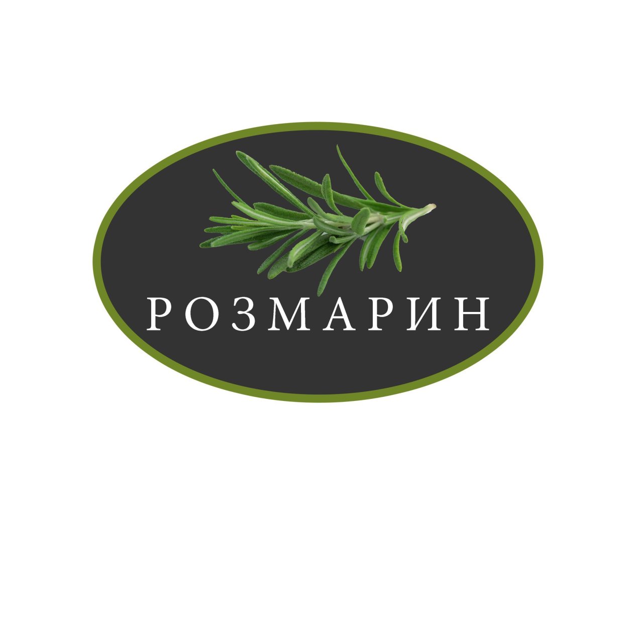 Розмарин lavandulacea.