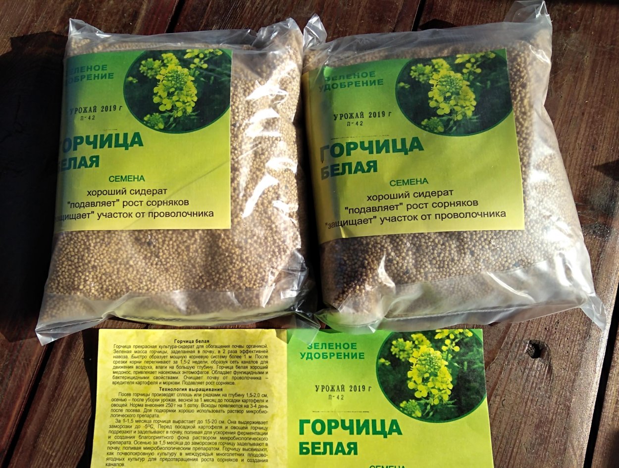 Сидерат горчица белая