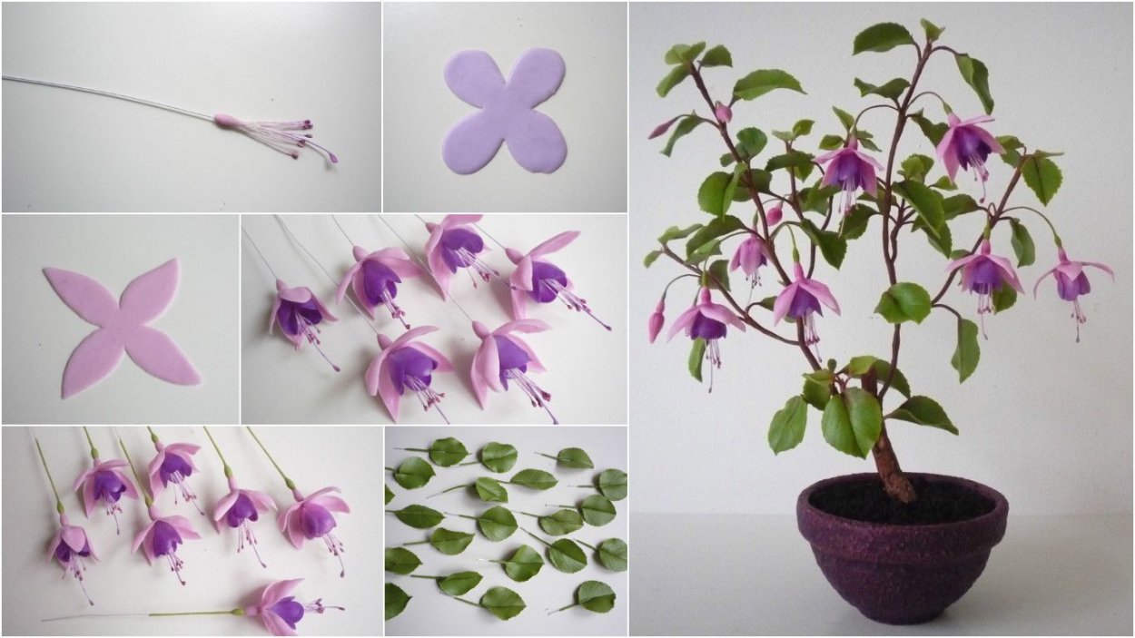 Фуксия Blue Angel