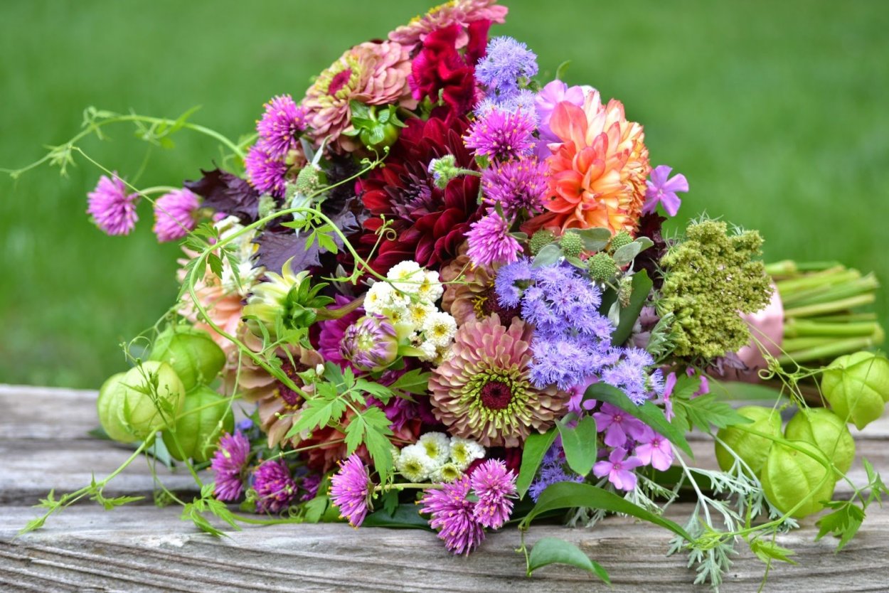 Дачный букет