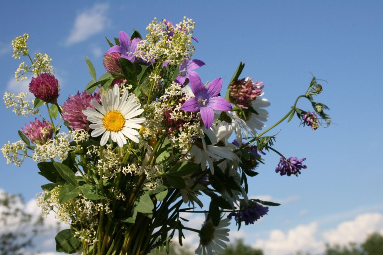 Цветок радости и счастья