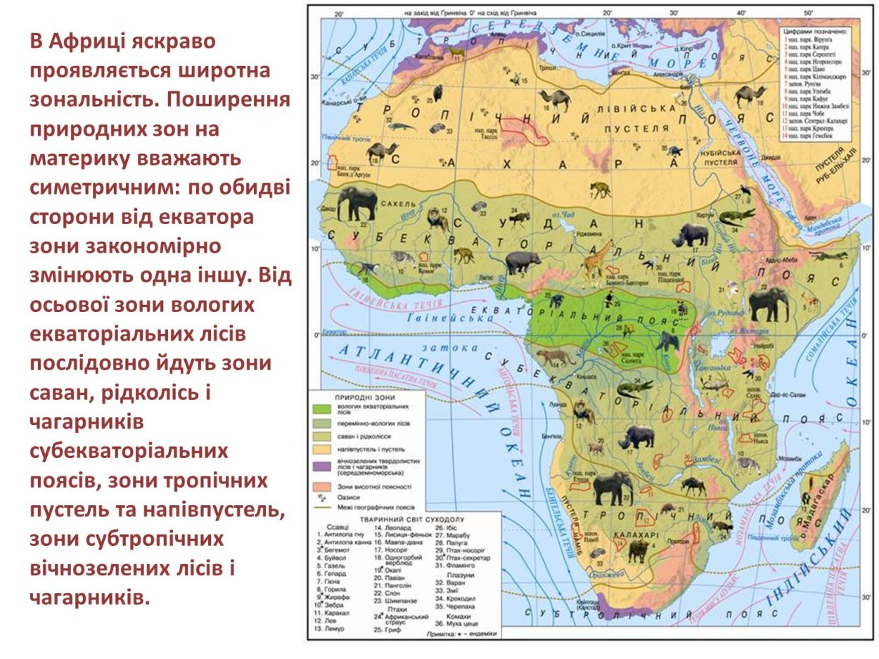 Экваториальные леса Африки на карте