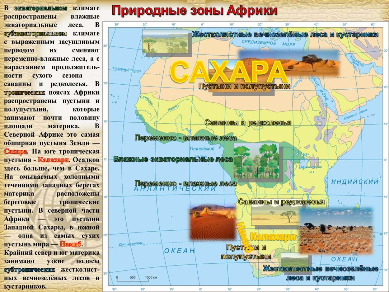 Сафари в Африке