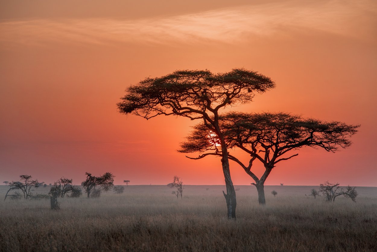 Расположение природных зон в Южной Америке