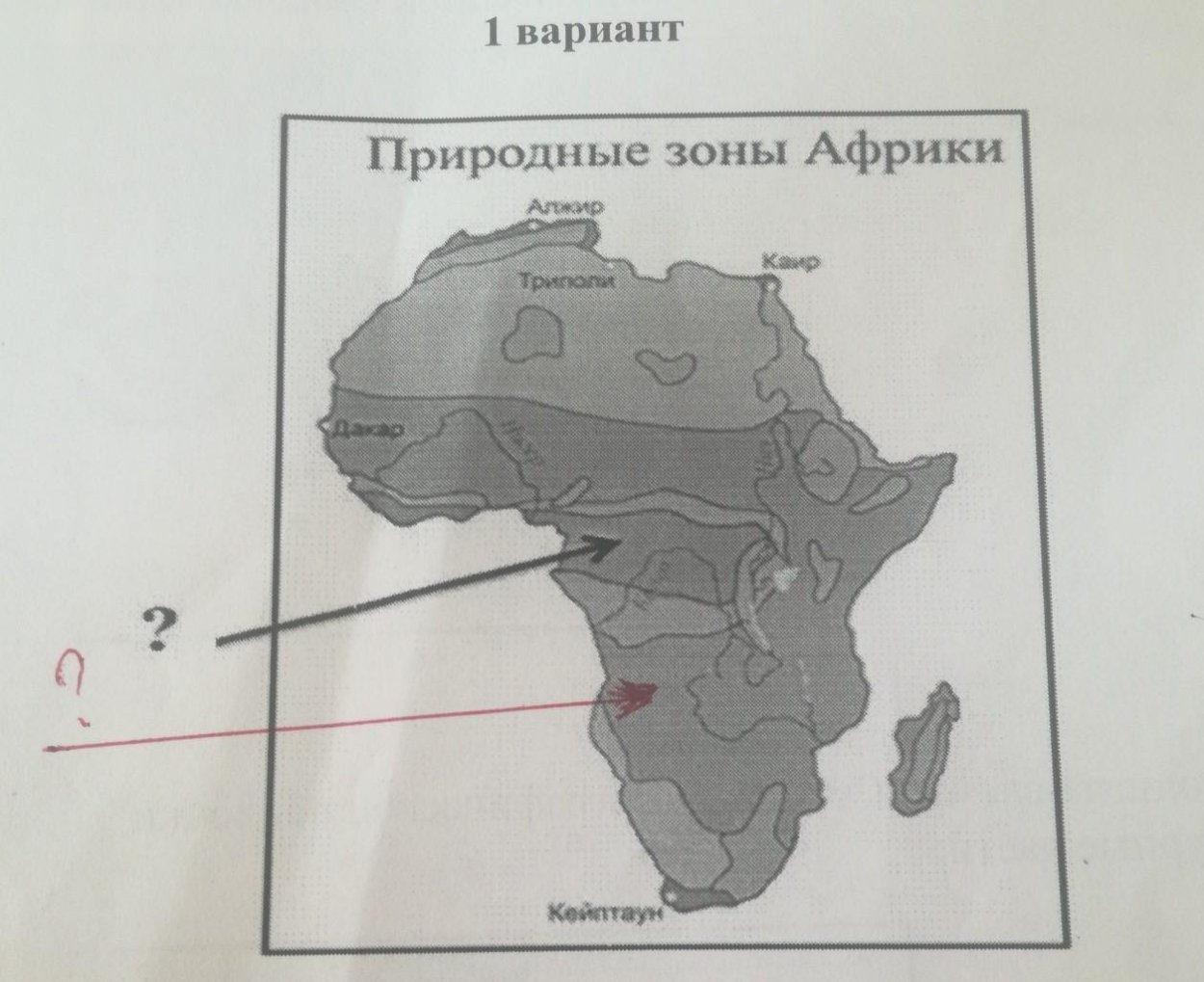 Природные зоны Африки для детей