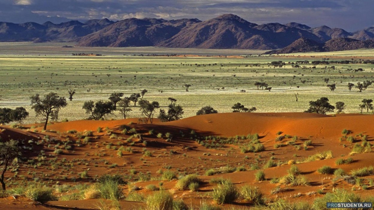 Карта растительности Африки