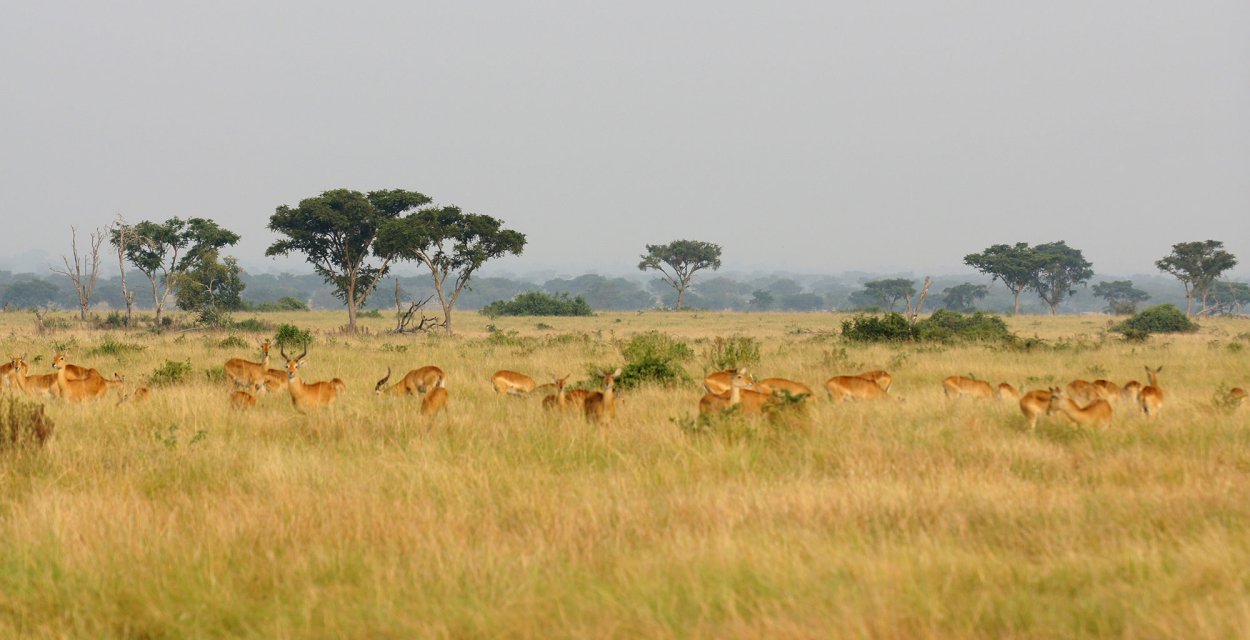 Национальный парк Серенгети, Танзания закат