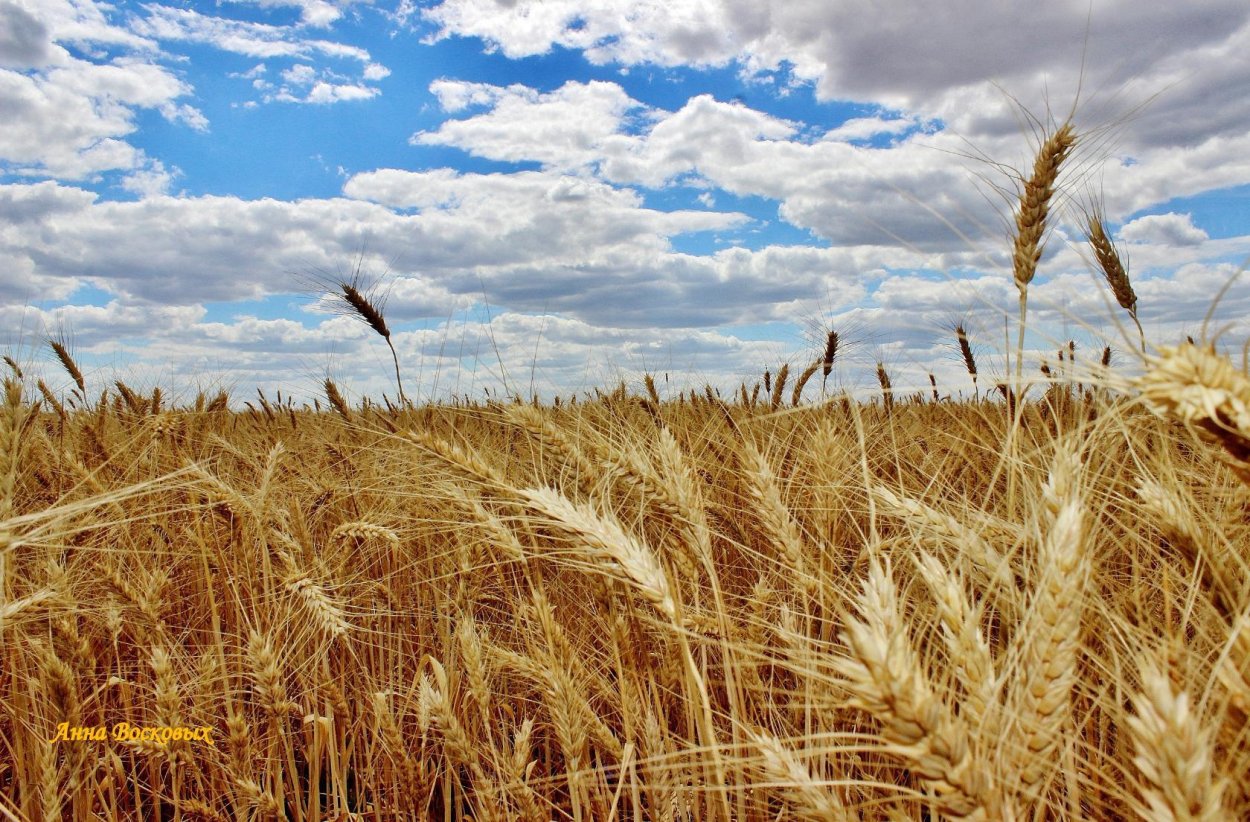 Пейзаж в бежевых тонах