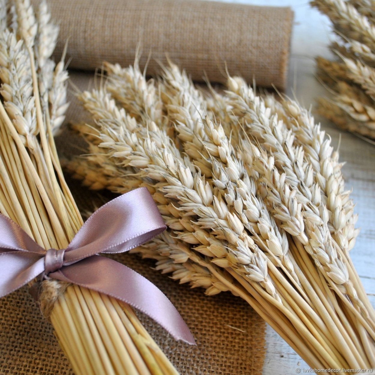 Девушка в поле