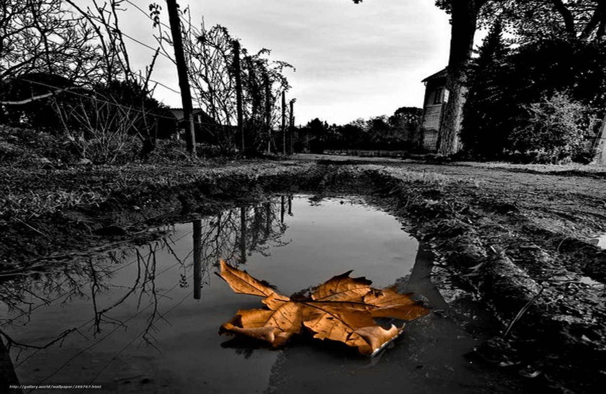 Мрачная осень в городе
