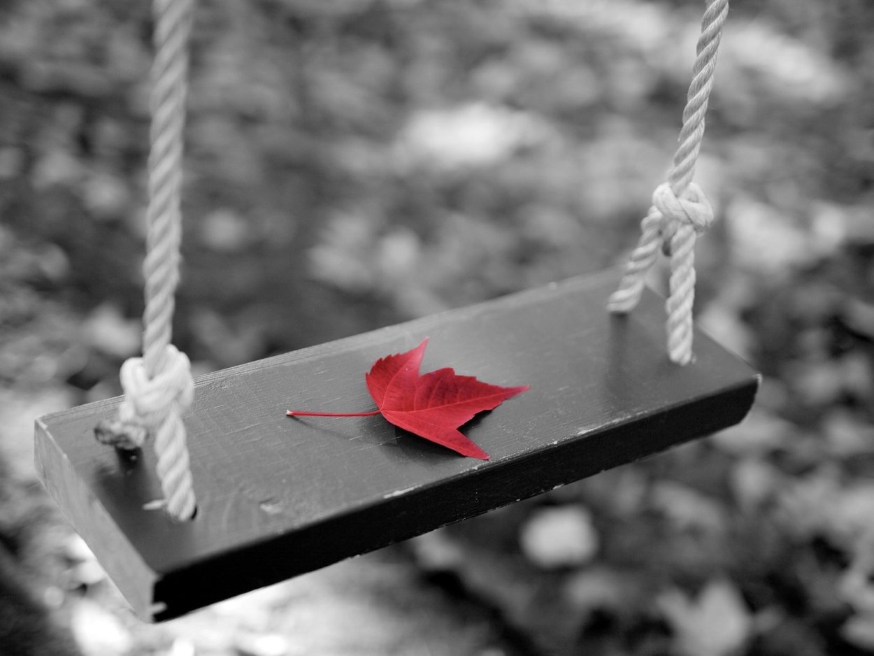 Одинокие качели