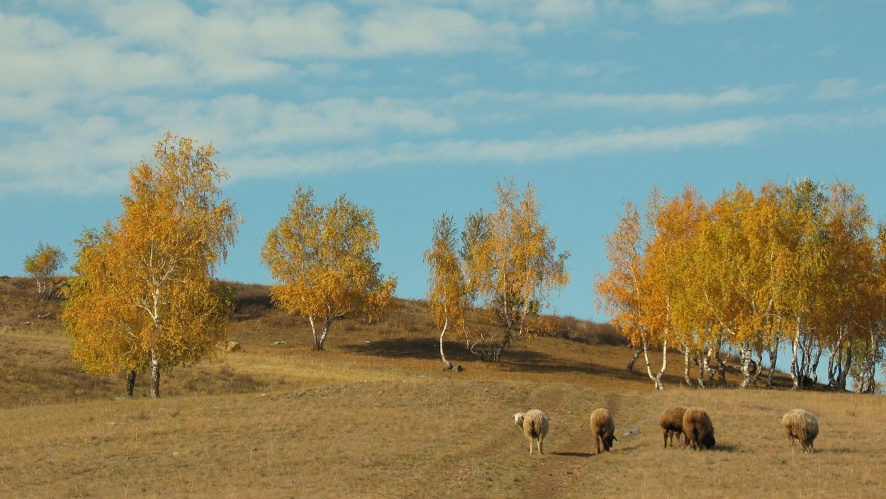 Степь осенью