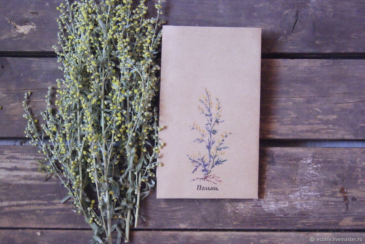 Полынь Таврическая Крымская