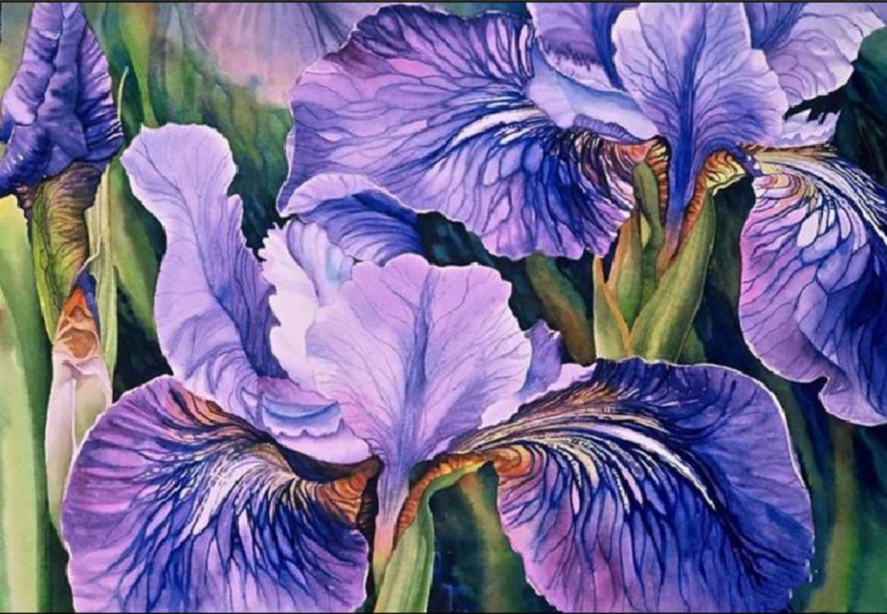 Олег Тимошин художник ирисы