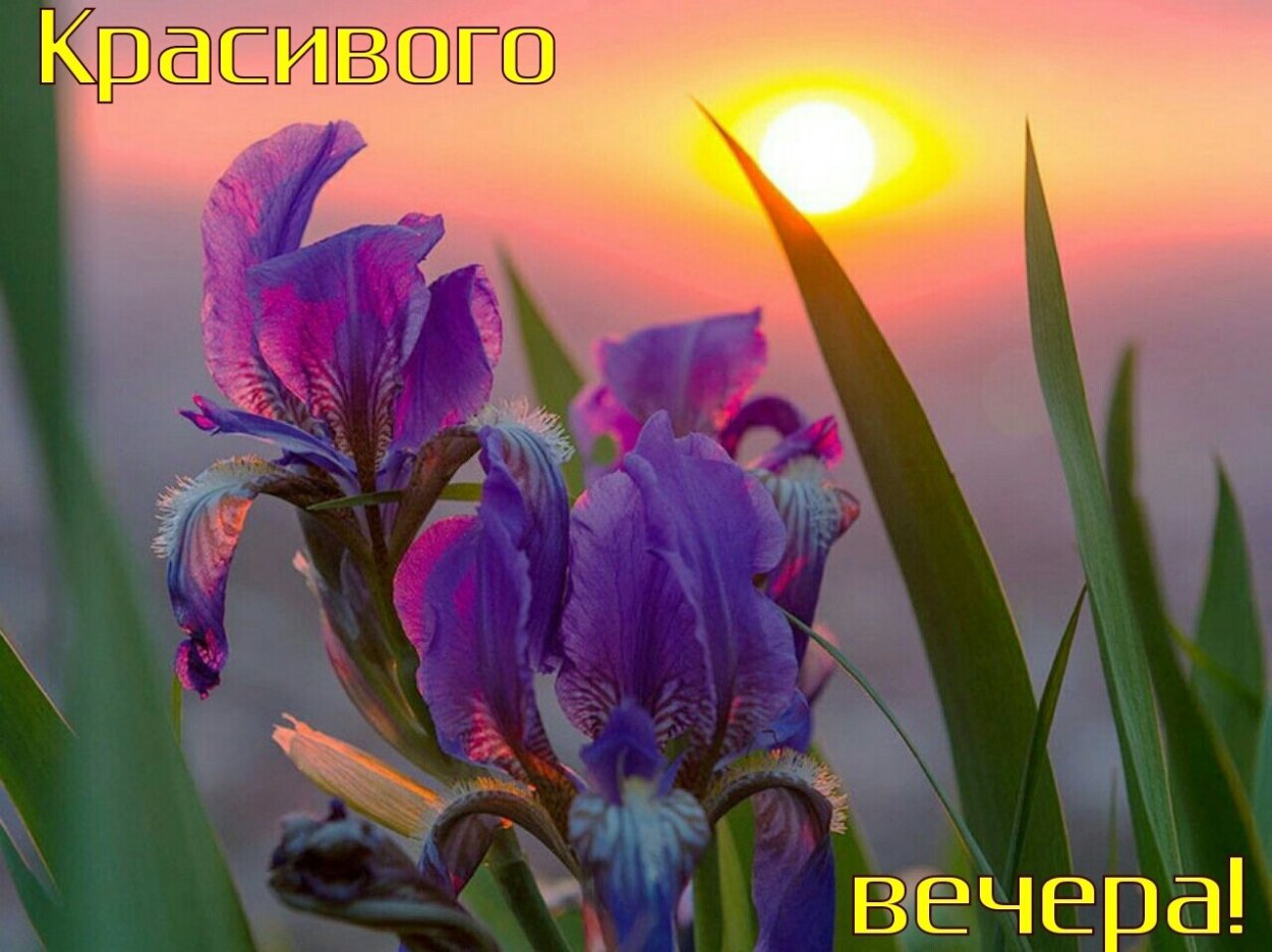 Красивый весенний букет