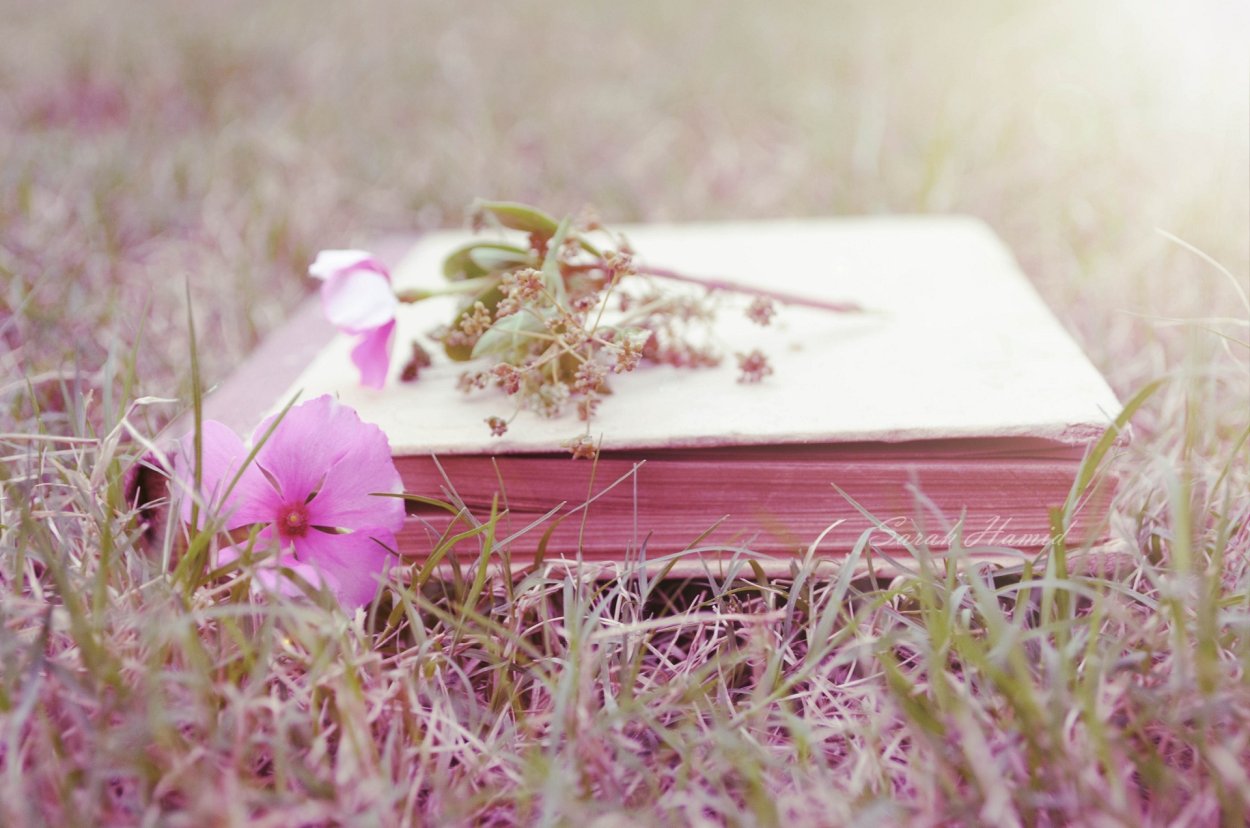 Книги о весне