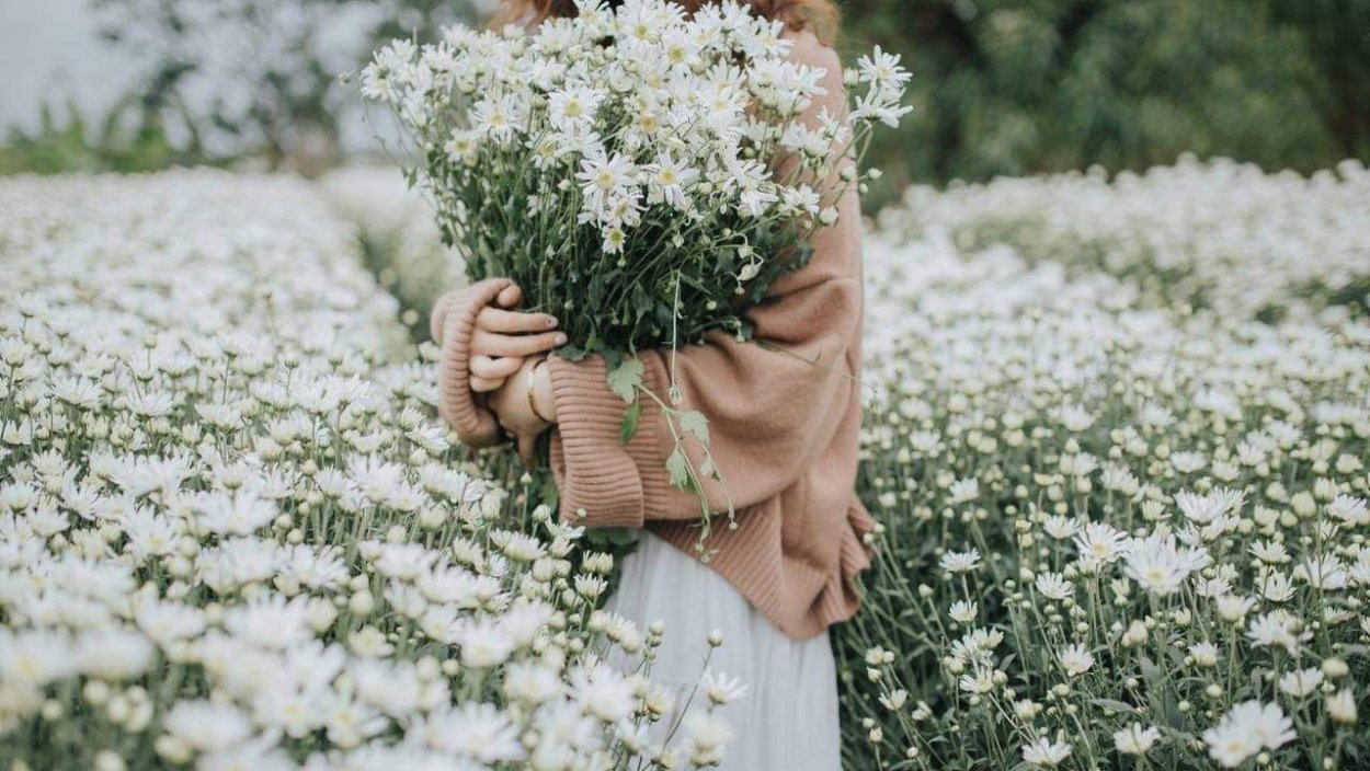 Девушка с ромашками Эстетика