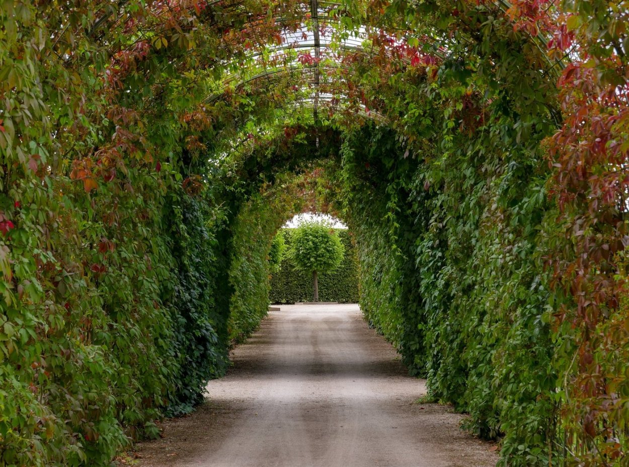 Пергола Берсо