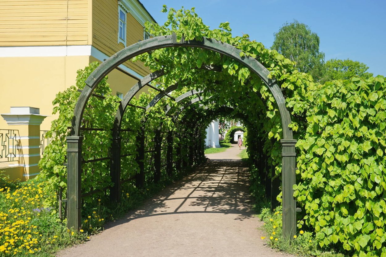 Берсо Кусково