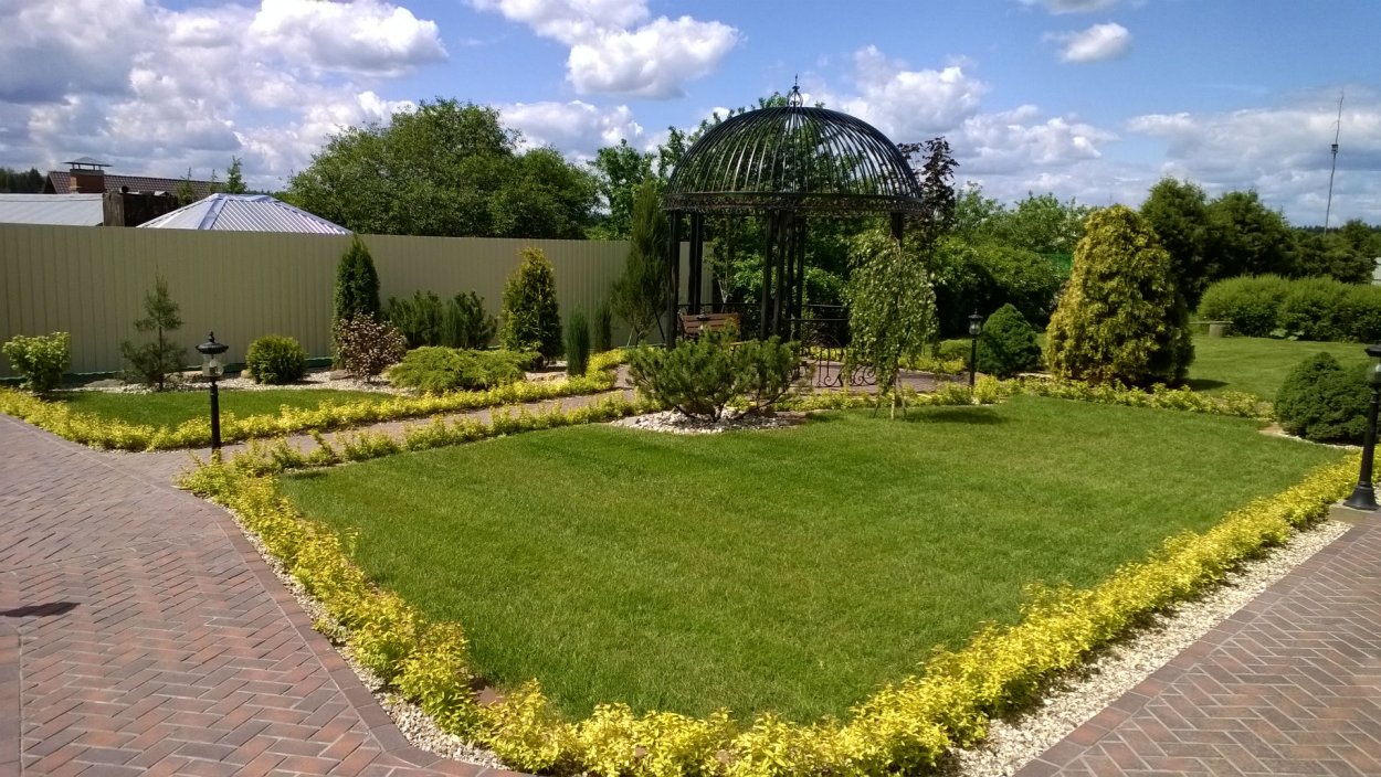 Газон и Живая изгородь