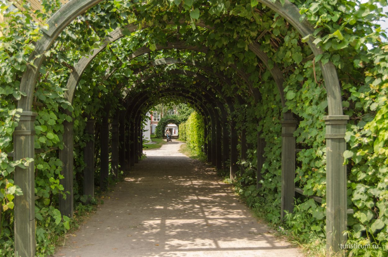 Усадьба Кусково арка