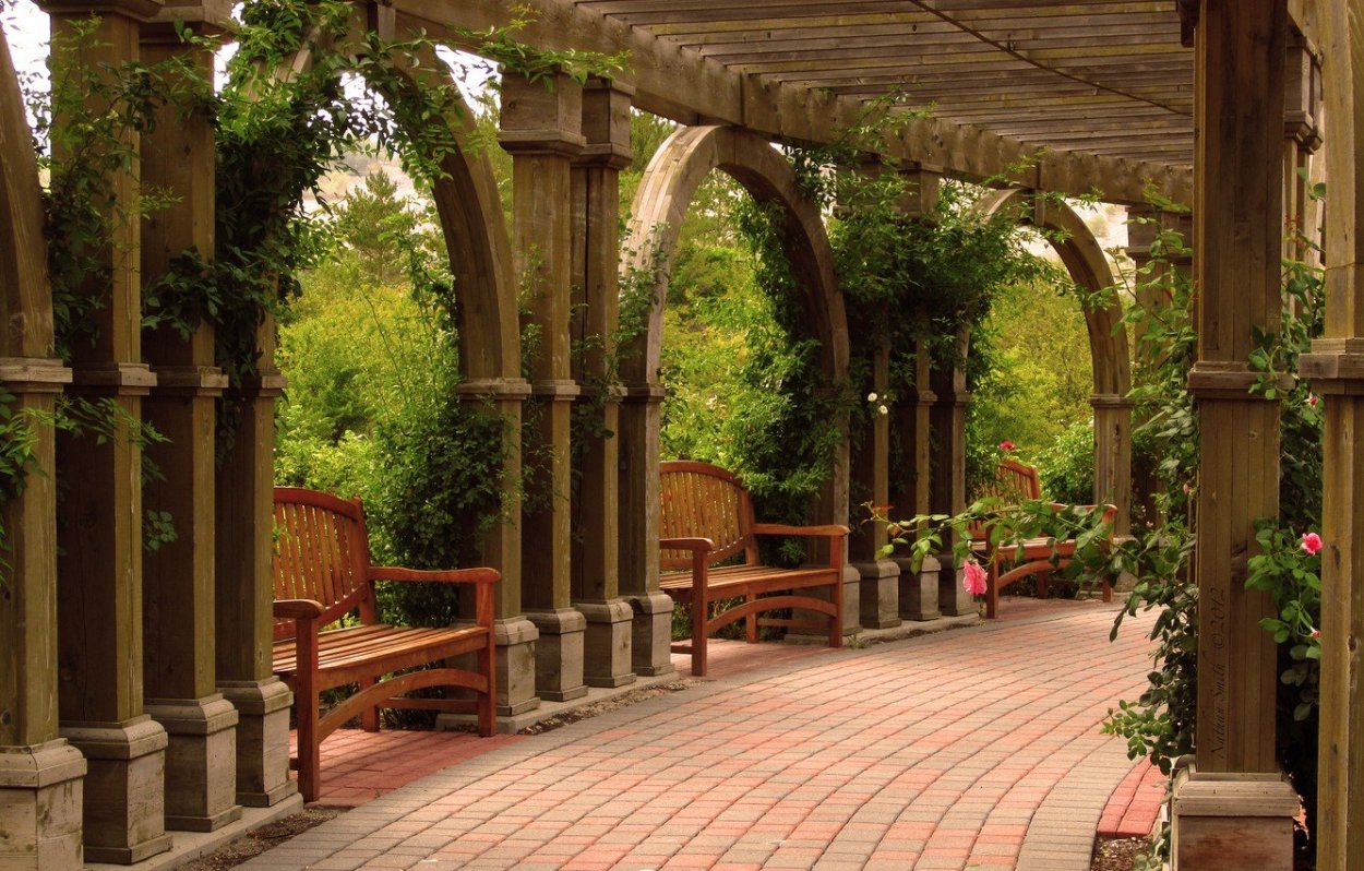 Летний сад пергола