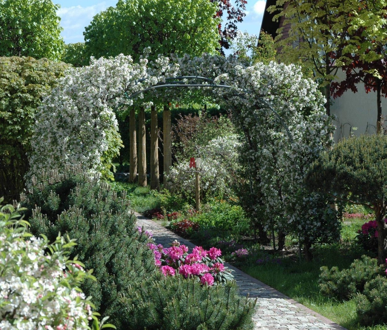 Арки, Берсо и перголы