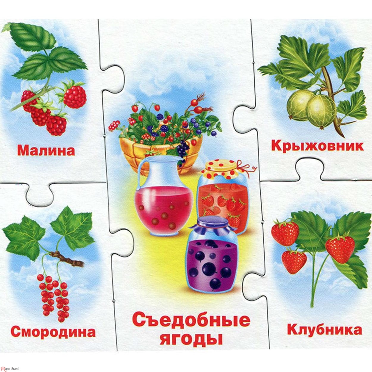 Развивающая игра дары природы