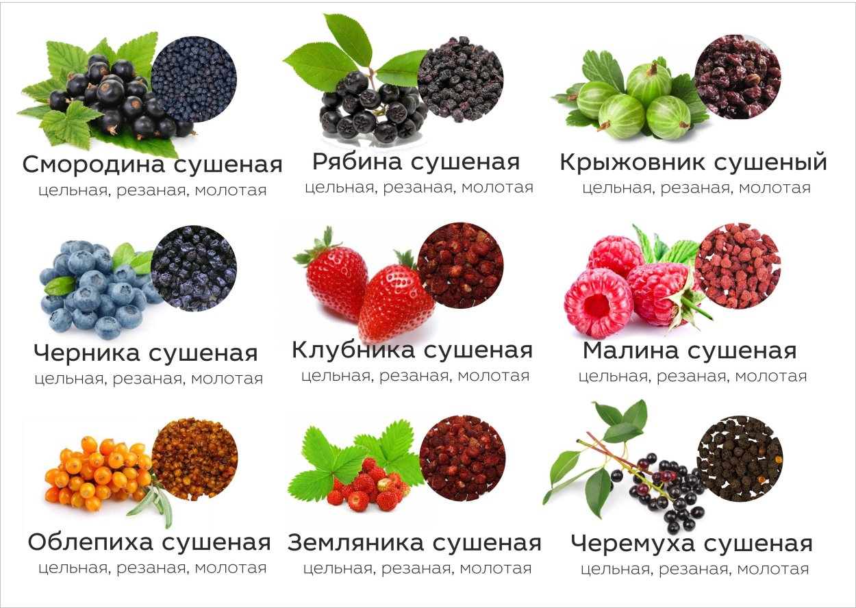 Ягоды список с картинками