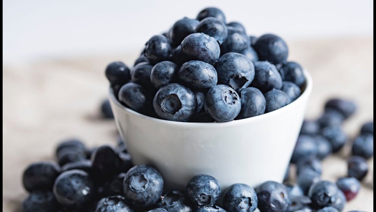 Бузина, голубика, черника.