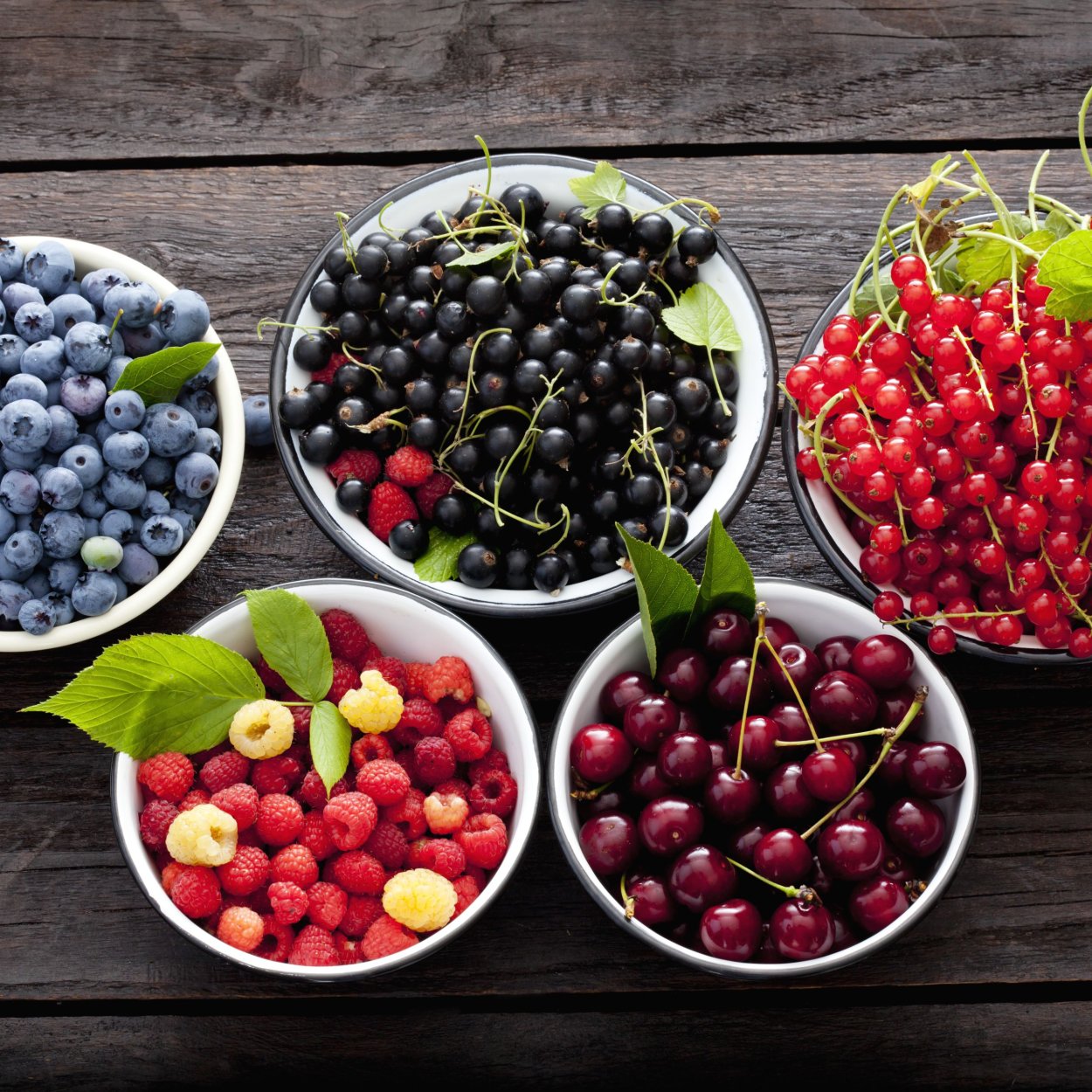 Жимолость Алтайская