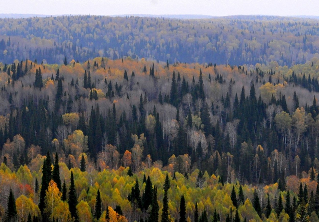 Национальный парк Салаир в Алтайском крае