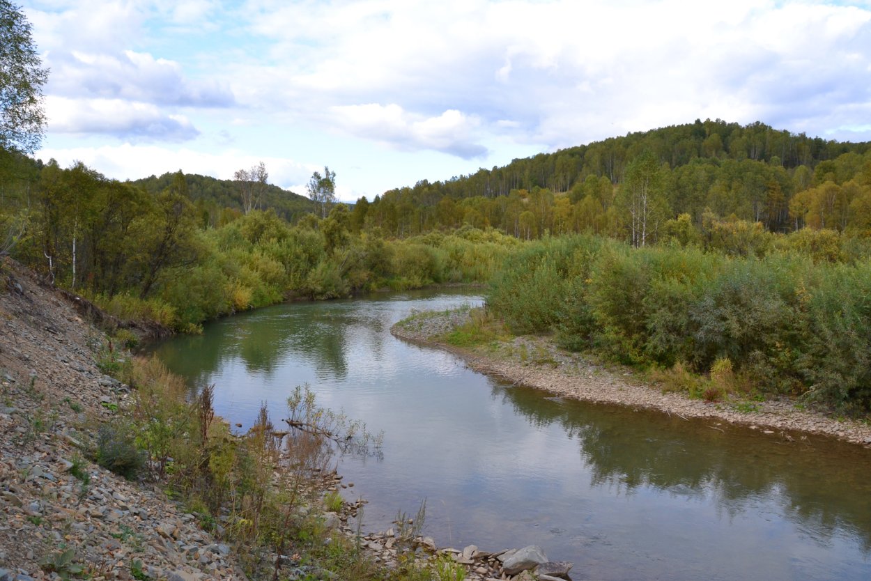 Работники заповедников и национальных парков мероприятие