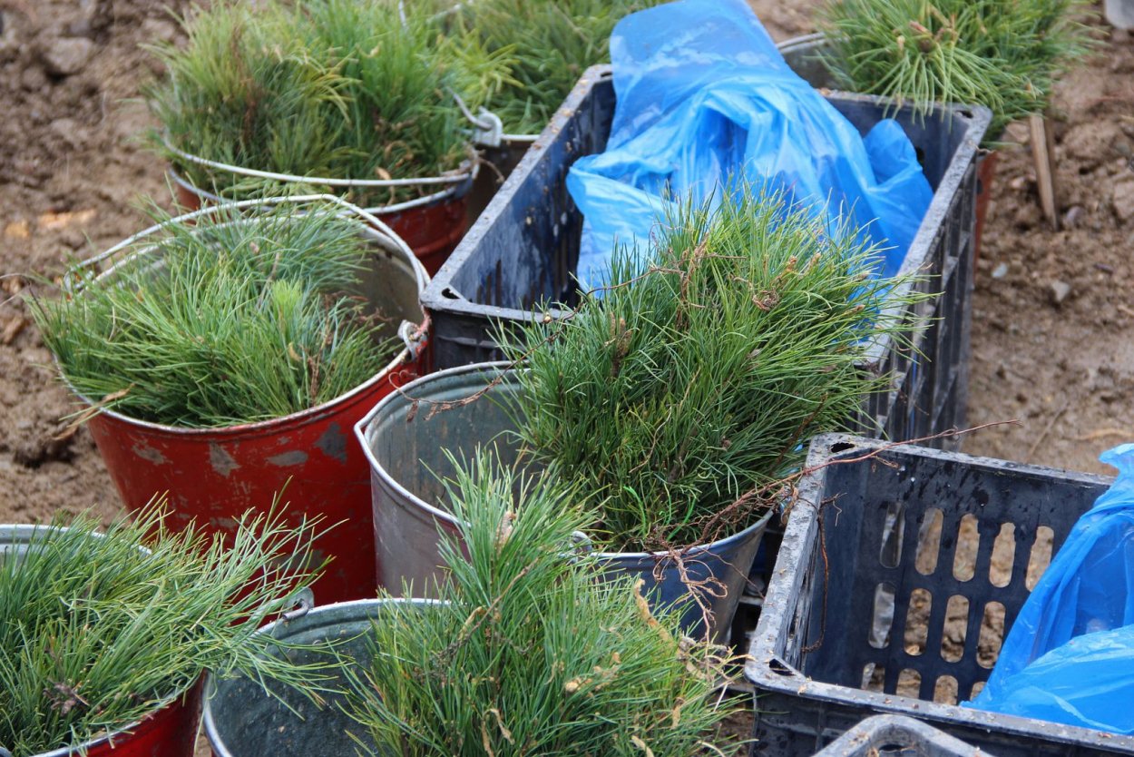 Экспедиция для педагогов