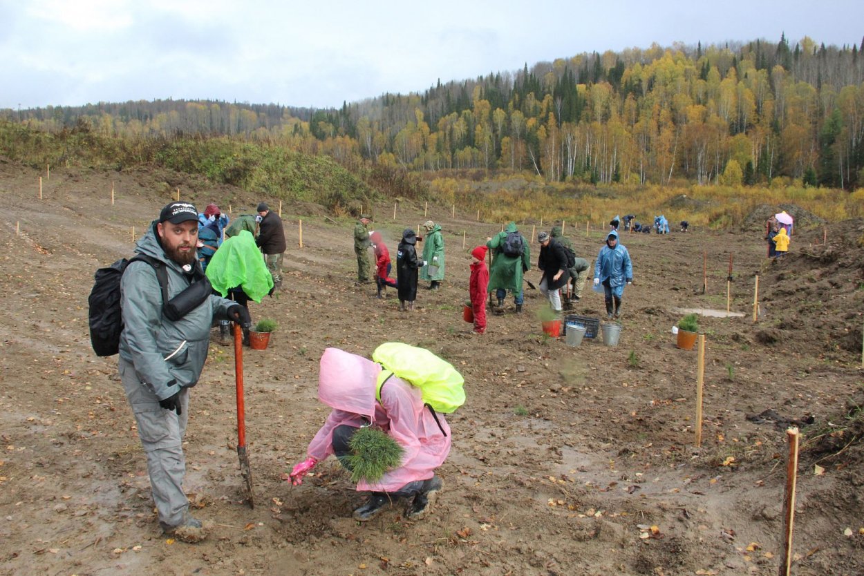 Сибирь Алтай