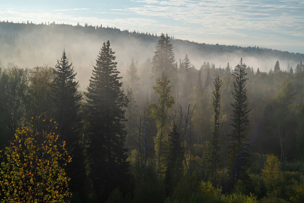 Нац парк Салаир