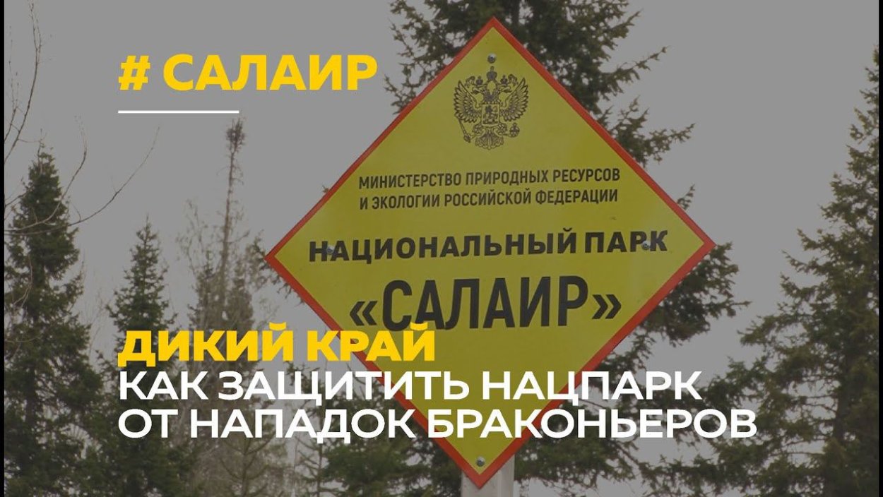 Салаирский заповедник Алтайского края