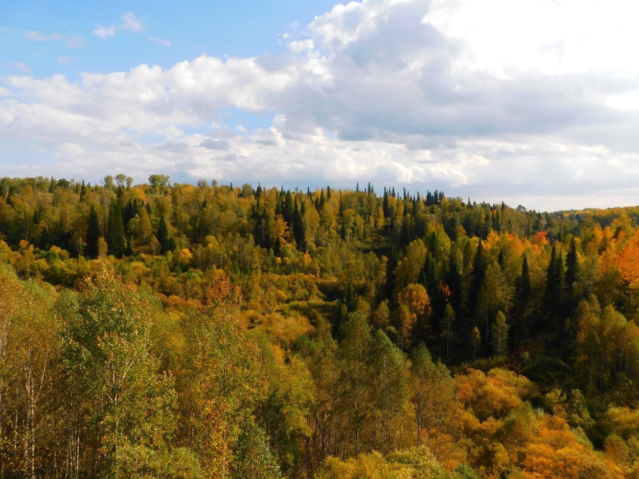 Салаирский Кряж Новосибирская
