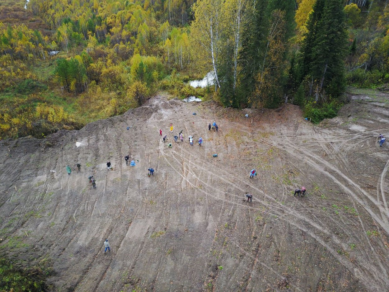 Растения нац парка Салаир